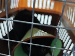 -守诺宠物医院·眼科· 神经外科·爬宠专科(虹口店)