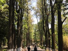 -邛海宾馆·玉鸥楼中餐厅