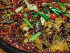 -老板恋上鱼(恒隆广场店)