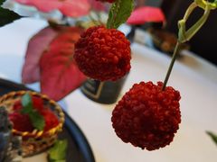 -鱼翅楼·津派砂锅鱼翅(水上公园店)