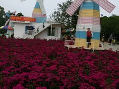 android_upload_pic-松山湖梦幻百花洲