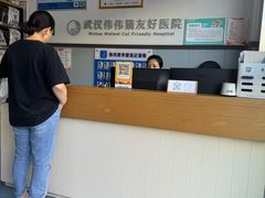 -伟伟宠物医院·瑞派猫友好医院·猫科(光谷店)