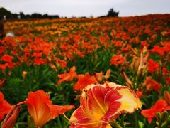 -汉长安城未央宫国家考古遗址公园