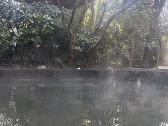 -西安国际创新人才交流中心·地中海餐厅·潮汕牛肉火锅·欧陆花园烧烤