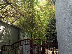-上海孙中山故居纪念馆