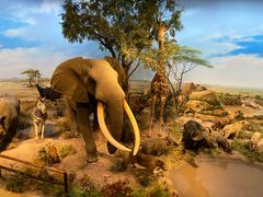 -陕西自然博物馆