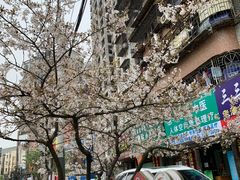 -沙市市中山公园