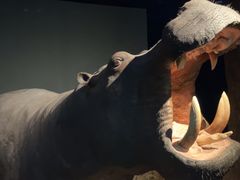 -天津自然博物馆