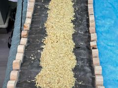 -李时珍中医馆·艾灸·推拿·针灸(佰港城馆)