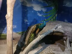 -苏州海洋馆