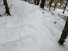 -硗碛藏寨·神木垒景区