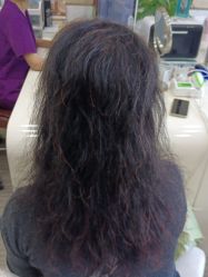 -新生植发·植养护一体