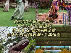 -呀路古热带植物园