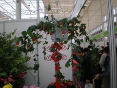 花展-西安世博园