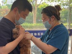 -申普宠物医院·眼科·心内科·影像科(普陀分院)