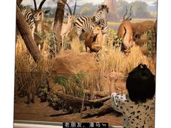 -陕西自然博物馆