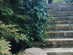 -中国茶叶博物馆(双峰馆区)