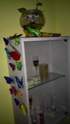 IMG_20150115_201756-克丽缇娜