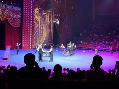 -珠海横琴长隆《卡卡虎奇遇记》