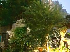 -漫渡庄绿岛花园•隐世庭园菜(滨湖店)