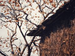 -天姥山