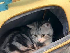 -联合动物医院(光谷诊疗中心)