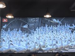 -斯丹姜母鸭·古法干香(泉州总店)