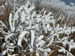 -东天目山风景区