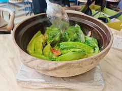 啫啫生菜煲-陶陶居酒家(SM二期购物广场店)