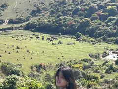 -大姆山草场