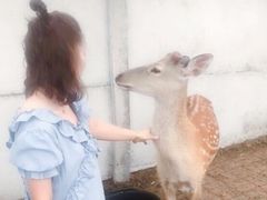 -广州四季酒店
