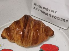 -WHEN PIGS FLY当猪飞