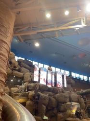 -卡通尼·Safari非洲探索乐园·生日会(金桥国际商业广场店)