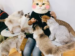 -Heymao猫咖.咖啡厅(东门店)
