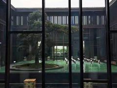 -上海崇明金茂凯悦酒店