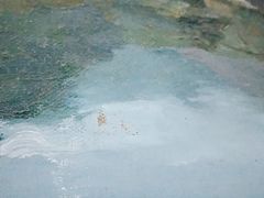 -LensCrafters亮视点(蓝色港湾店)