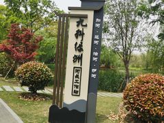 -九科绿洲
