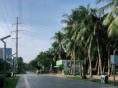 -万绿园