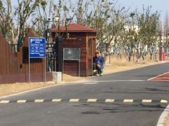 -上海长兴岛郊野公园