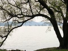 -上海市保健医疗中心(华东疗养院)