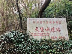 -紫金山天文台