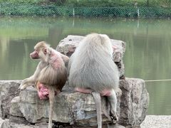 -宁波野生动物园