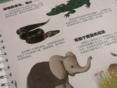 -天津图书馆(复康路馆)