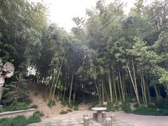 -水绘园