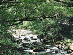 -广州市石门国家森林公园