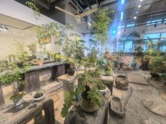 -双季花艺园艺市场(浦东店)