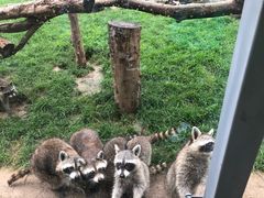 -辛玛王国游乐园