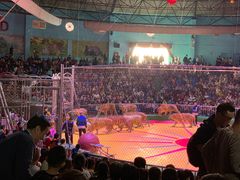 -西安秦岭野生动物园