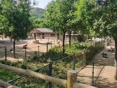 -石家庄市动物园