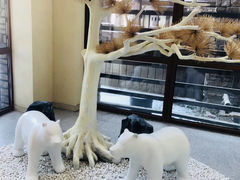 -富龙滑雪场